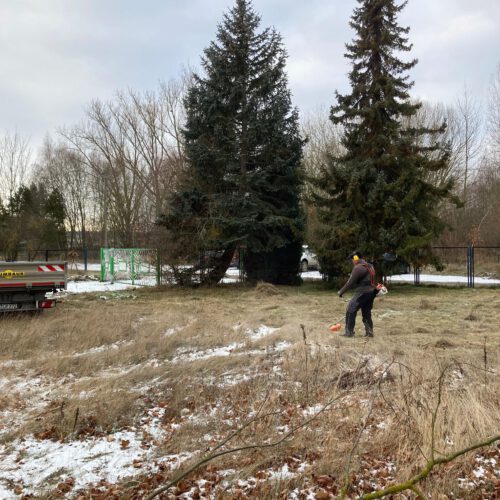 20260108_094957000_iOS