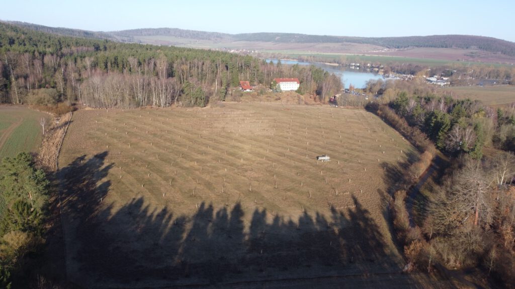 DJI_0220