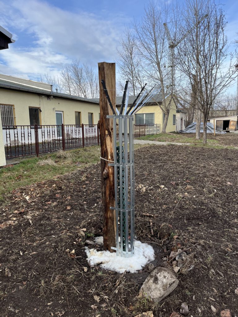 Treedefender Baumschutz