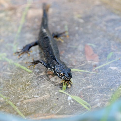 image00149