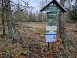 20260212_121420_klein