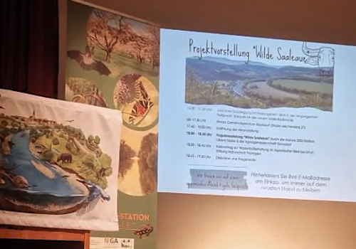 Screenshot 2025-11-17