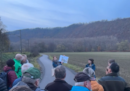 Screenshot 2025-11-17 115710